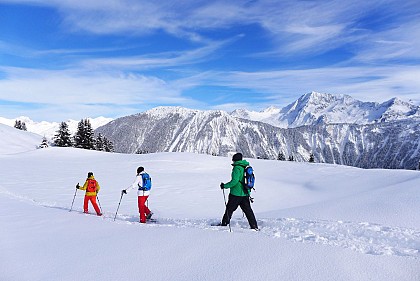 THE GRAVELLES CRESTS