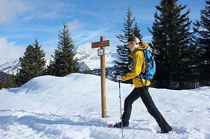 THE DESCENT FROM MONT BEL AIR