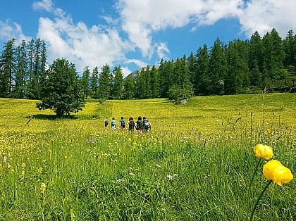 Randonnée le Chemin du Facteur