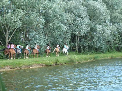 Equestrian route Confrançon - St Etienne sur Reyssouze