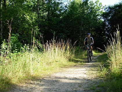 Circuit VTT du tour de l'étang de la Vallée