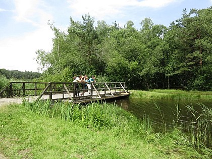 Circuit VTT de l'étang de la Vallée au Belvédère