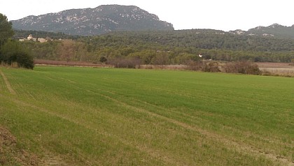 OK FTT-Les contreforts du Pic Saint Loup