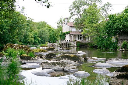 N°11 - Le Circuit de Grenon