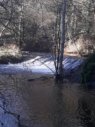 N°7 - Les Rives de la Crûme