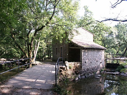N°14 - Sèvre et coteaux de la Barbinière