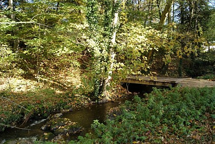 N°22 - Le Sentier de la Sèvre