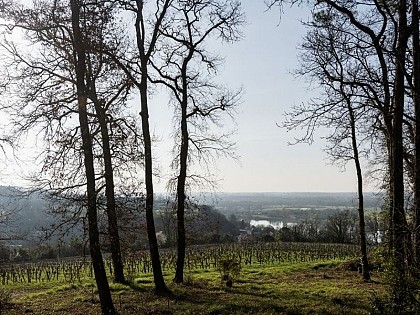 Boucle Cambes/ Baurech/ Saint-Caprais de Bordeaux