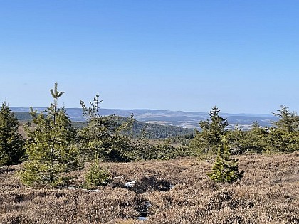 Circuit de la Gardille - VTT n°5