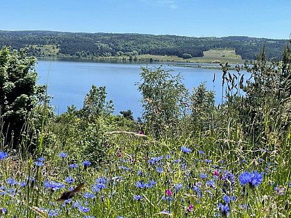 Tour du Lac de Naussac - VTT n°7