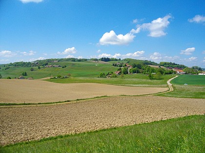 Circuit VTT n°34 - Le Faucon