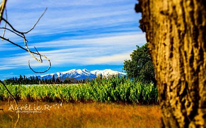 Roussillon gardens (mountain bike)