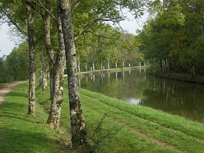 D'Epinal au réservoir de Bouzey