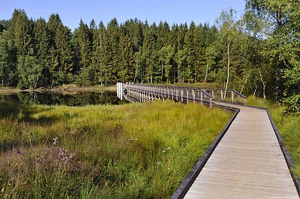 Sentier de Rives autour du Lac de Vassivière