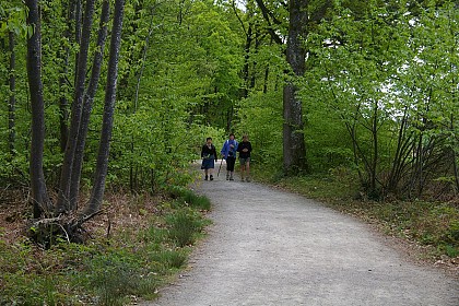 Boucle de Saint-Berthevin