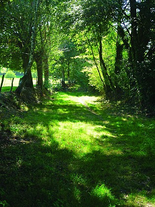 Circuit de la Bellangerie