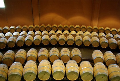 Circuit des châteaux "Vignoble et découverte" - La route du vin de Bordeaux - Blaye-Bourg