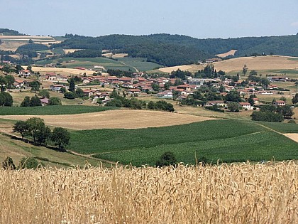 Duerne - Circuit de Randonnée La Forêt