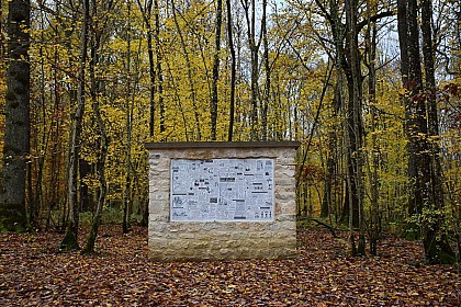 Vent des Forêts - Circuit du Gros Caillou