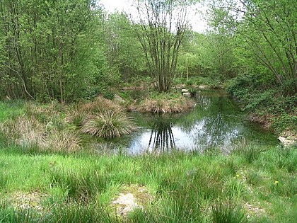 Circuit paysages et couleurs