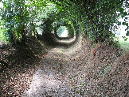 La vallée de la Souleuvre