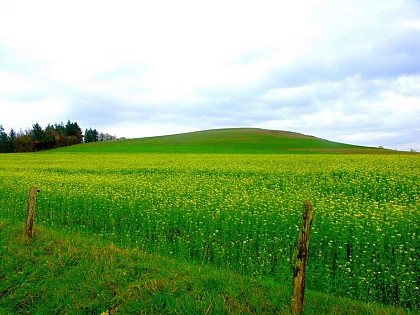 Le Mont Chauve