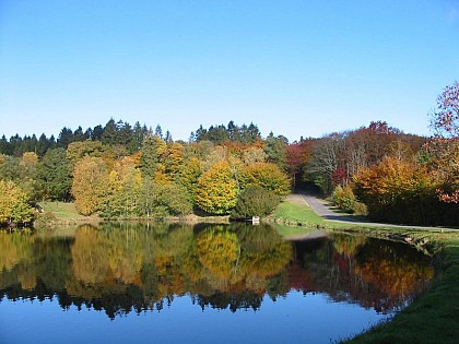 Les étangs du vieux château