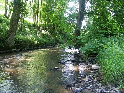 Le chemin des Etalards