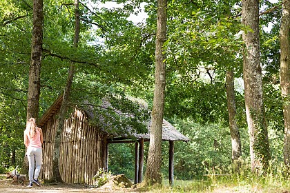 Circuit jaune en forêt de Grimbosq