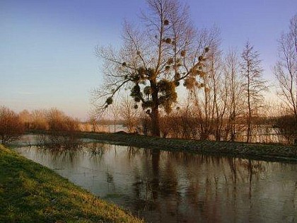Voie verte - Saint-Sauveur-le-Vicomte - La Haye-du-Puits