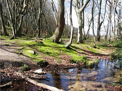 Randonnée en Pays Viking