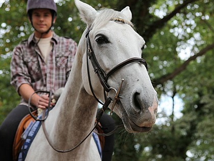 Caval'Ouche Itinéraire principal de St-Sulpice-sur-Risle au Sap