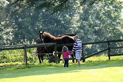 A vélo - Au pays du cheval