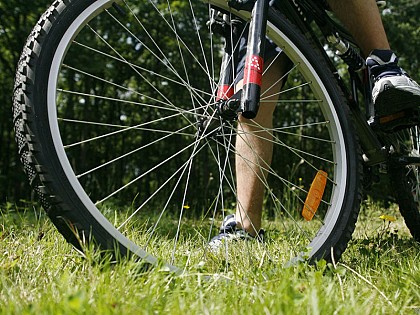 Cycle route – The Bellême valleys