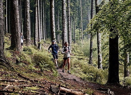 Le Verdier d'Ecouves - Station de Trail® Massif d'Ecouves