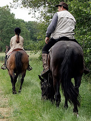 Le bois des Brouillets