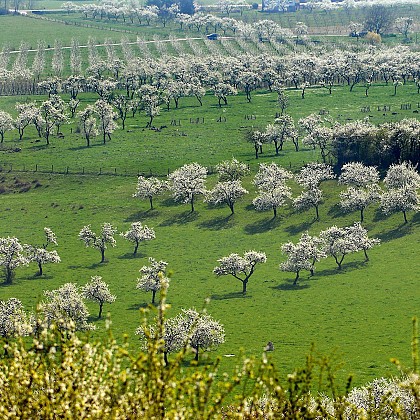 Grande Randonnée entre Vallée et Côtes de Meuse