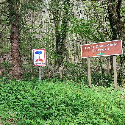 Forêt domaniale du Fréau | Chapelle Saint Victor