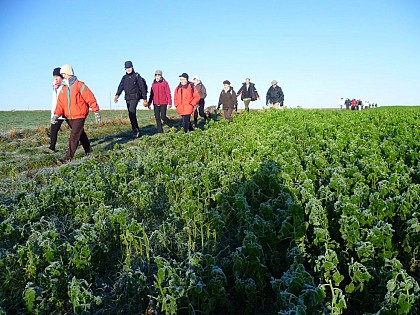 Le chemin des écoliers