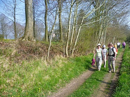 L'épine à Cailloux