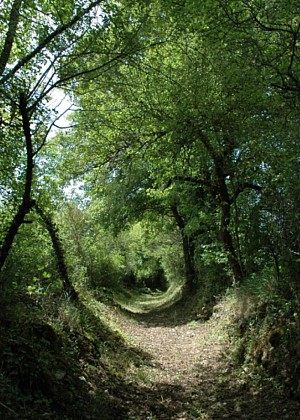 La Coquille en Ecomobilité - Un bol de Périgord -Limousin à l'Etang de la Barde