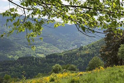 Randonnée : Le Suc de Chirol