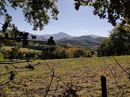 SENTIER VTTAE AUTOUR DE GANTIES - N°44