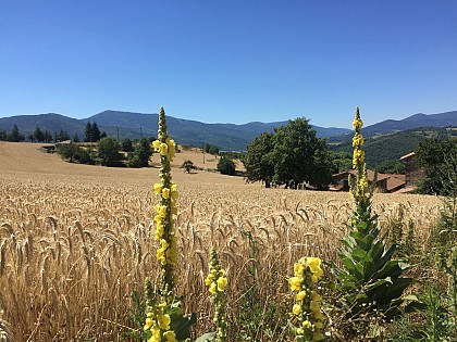 Hike : Toissieu in the land of the hot air balloon