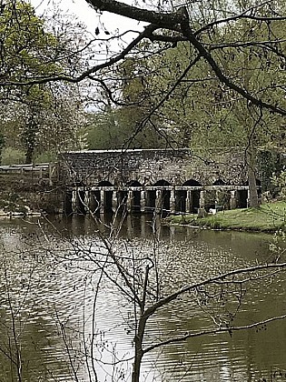 La Bouexière : Etang de Chevré avec escapade en forêt