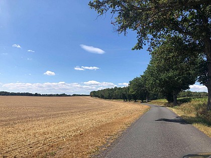 Bike ride in the Sologne bourbonnaise area
