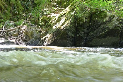 Pêcher dans les Gorges de la Loue - A Saint Médard d'Excideuil / Ganduras