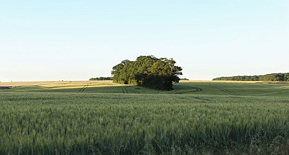 Retour sur la terre - n°25