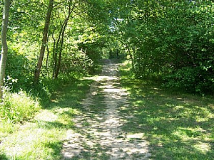 Loire et Vieux Hameaux - Juigné-sur-Loire