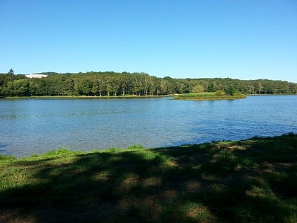 A l'Affut de la faune sauvage dans la vallée des Beunes